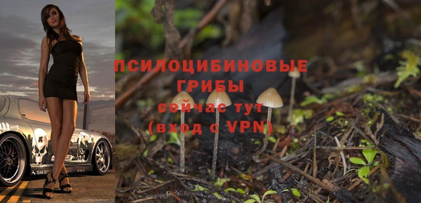 PSILOCYBIN Богородицк